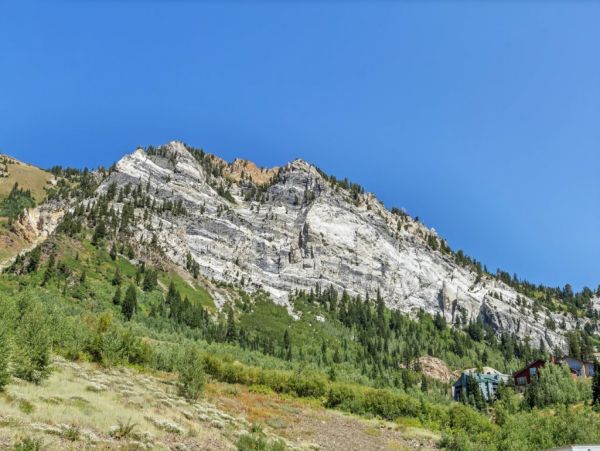 Alta Condo 982558