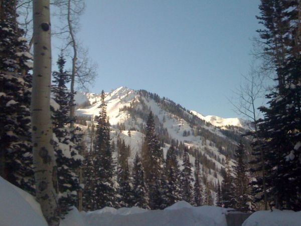 Alta Condo 982559