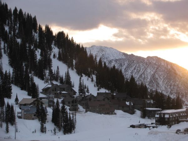 Alta Condo 982559