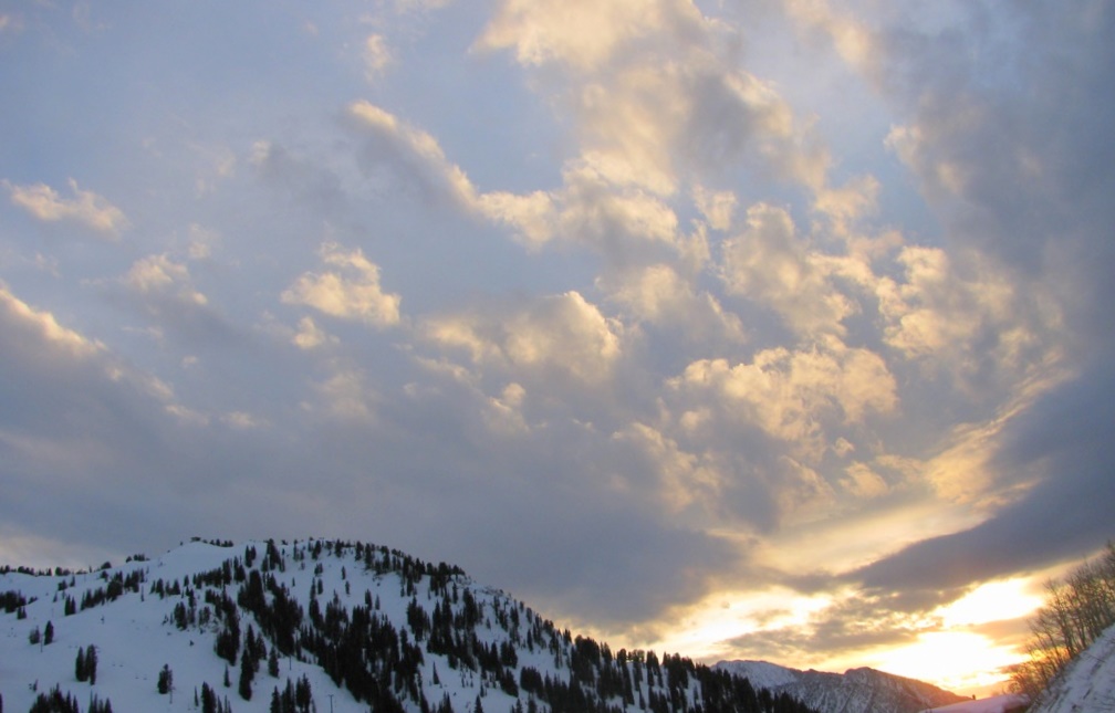 Alta Condo 982559