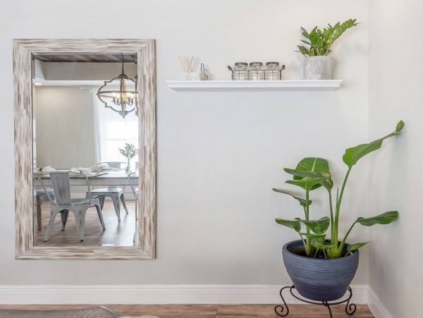 Tampa Home 982562