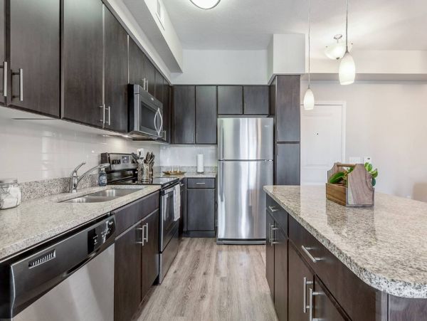 Tampa Condo 982569