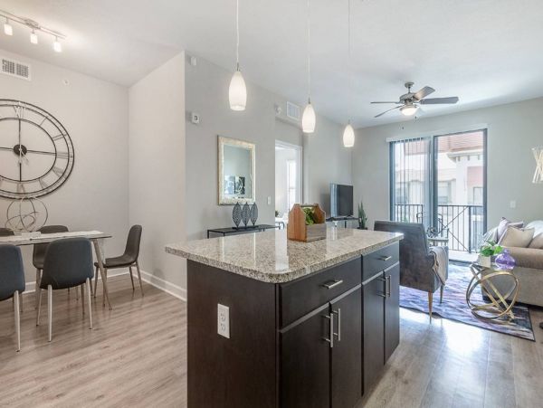 Tampa Condo 982569