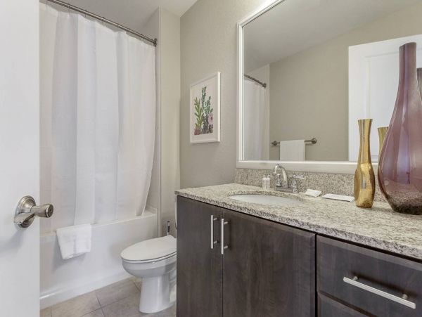Tampa Condo 982569
