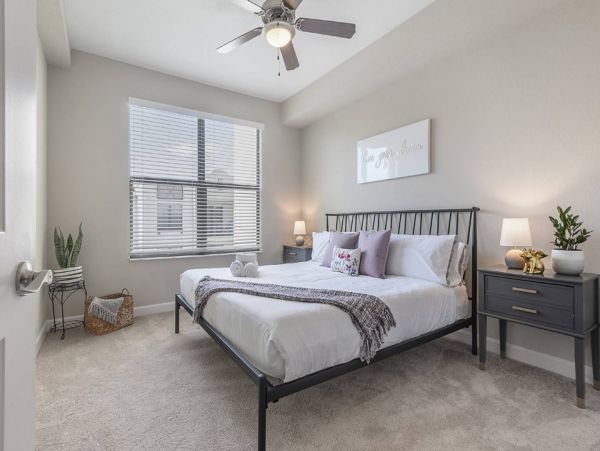 Tampa Condo 982569