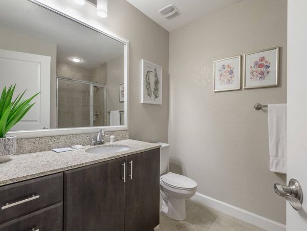 Tampa Condo 982569