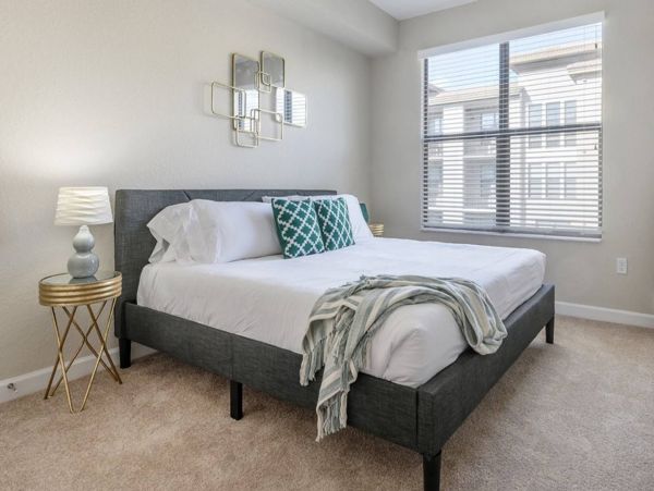 Tampa Condo 982573