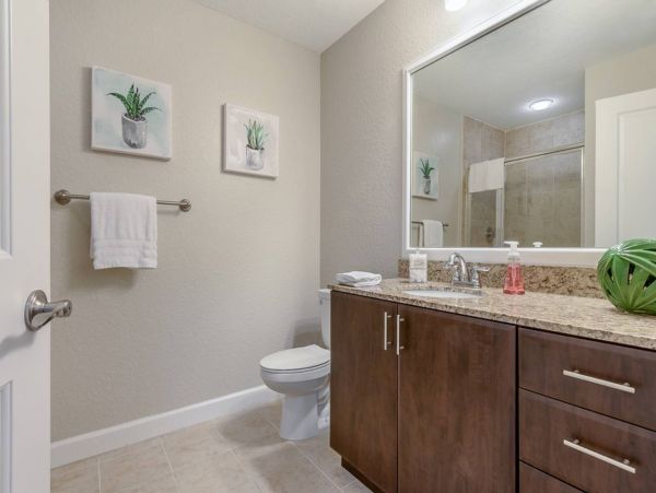 Tampa Condo 982573