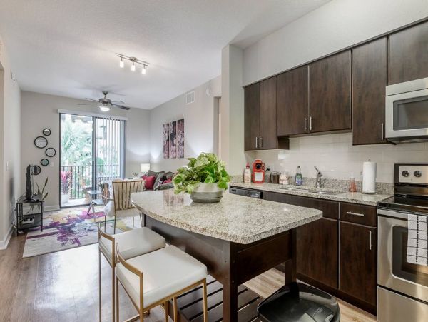 Tampa Home 982578
