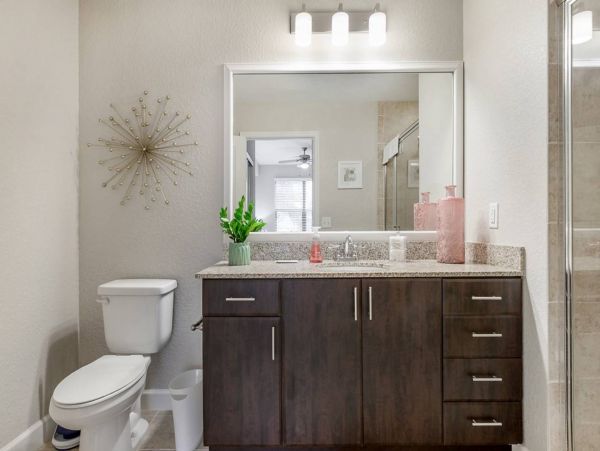 Tampa Home 982578