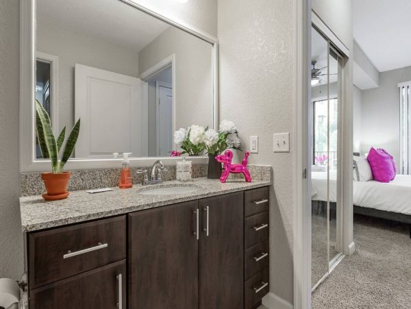 Tampa Home 982578