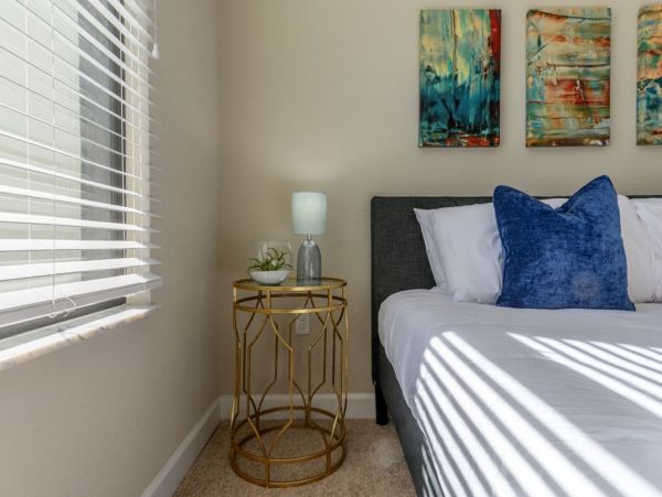 Tampa Condo 982579