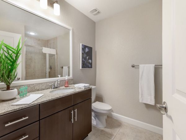 Tampa Condo 982579