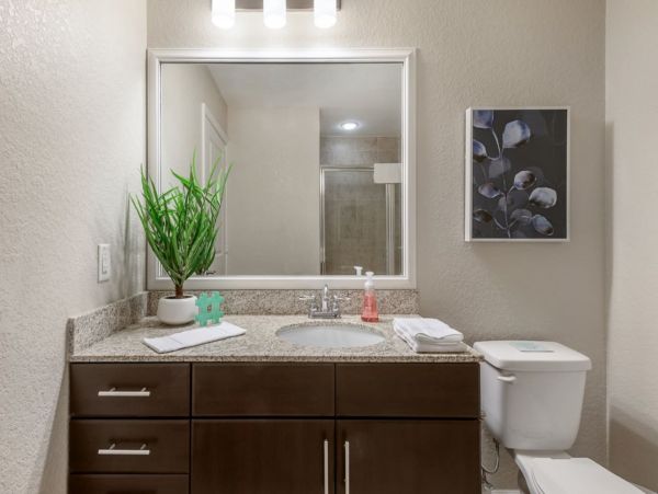 Tampa Condo 982579