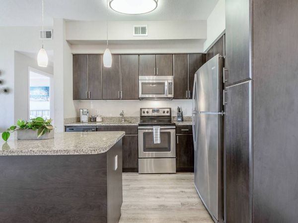 Tampa Home 982581