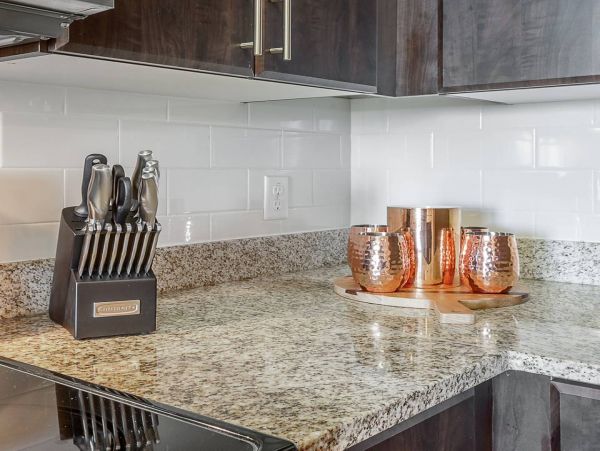 Tampa Home 982581