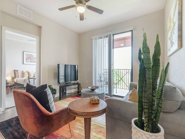 Tampa Home 982581