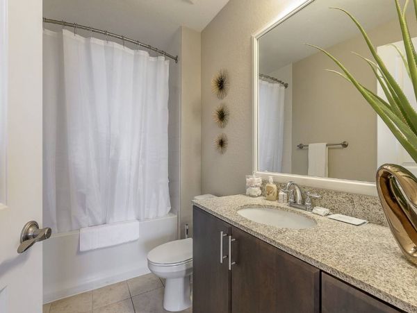 Tampa Home 982581