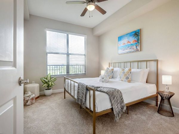 Tampa Home 982581