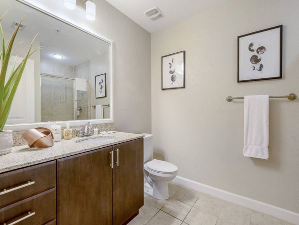 Tampa Home 982581