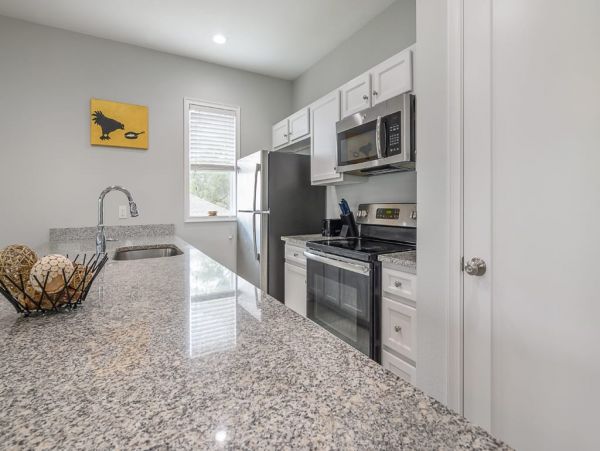 Tampa Home 982583