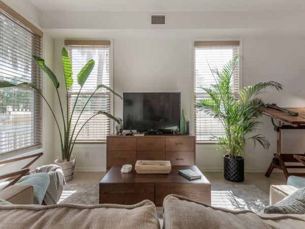 Tampa Home 982585