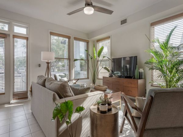 Tampa Home 982585
