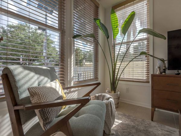 Tampa Home 982585