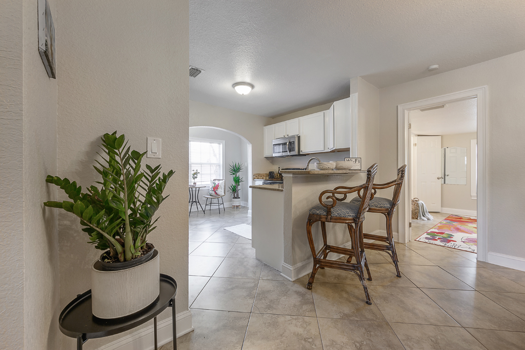 Tampa Home 982617