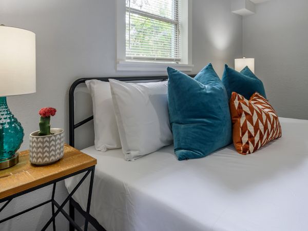 Tampa Home 982619