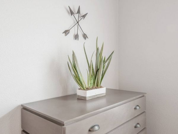 Tampa Home 982621