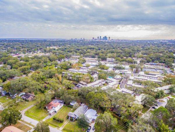 Tampa Home 982621