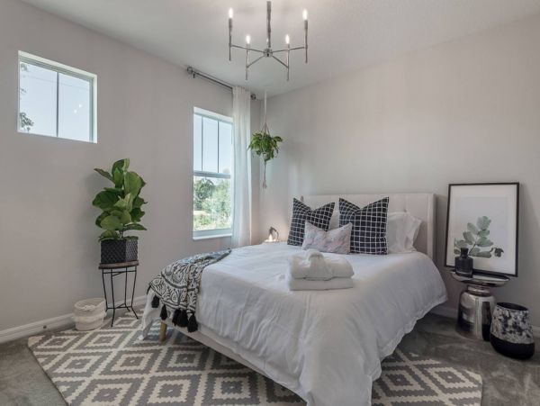 Tampa Home 982622