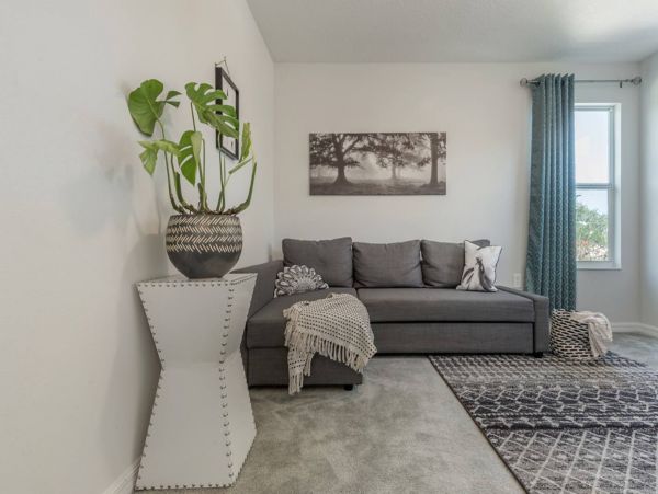 Tampa Home 982622