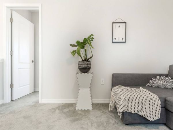 Tampa Home 982622