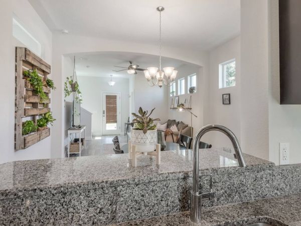 Tampa Home 982622