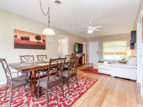 Tampa Home 982623