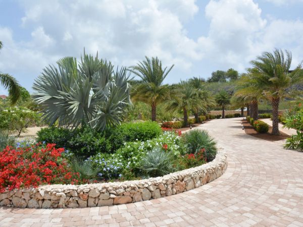 Bonaire Home 982627