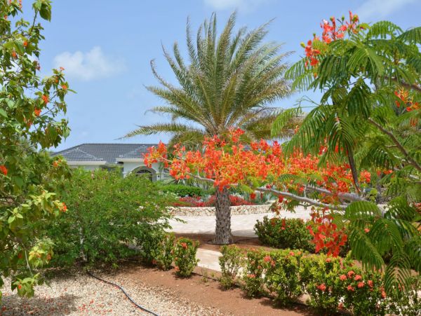 Bonaire Home 982627