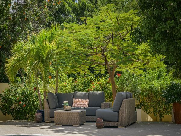 Bonaire Home 982631