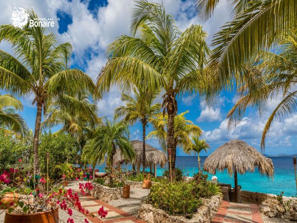 Bonaire Home 982635
