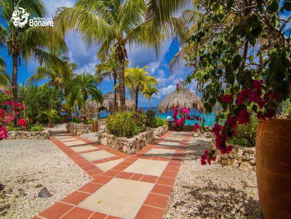 Bonaire Home 982635