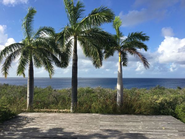Bonaire Home 982638