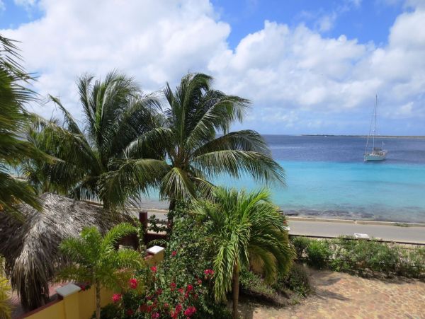 Bonaire Condo 982660
