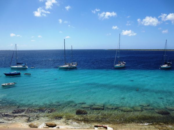 Bonaire Condo 982662