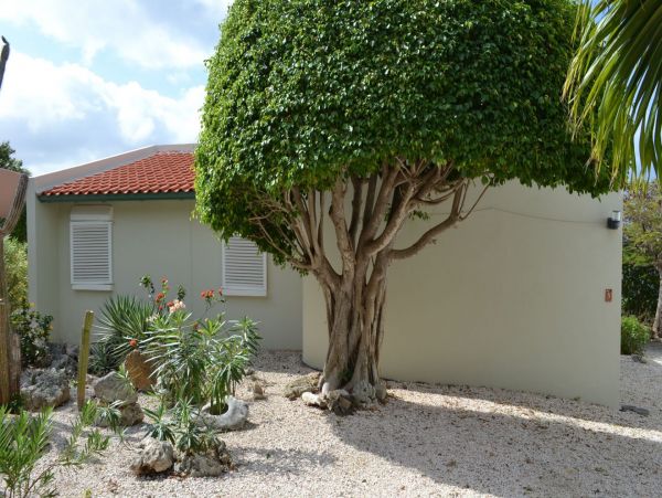 Bonaire Condo 982663