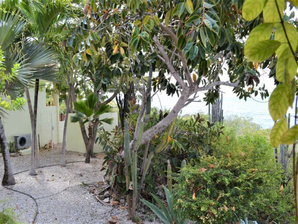 Bonaire Condo 982663