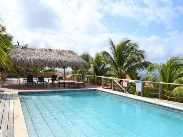 Bonaire Condo 982663