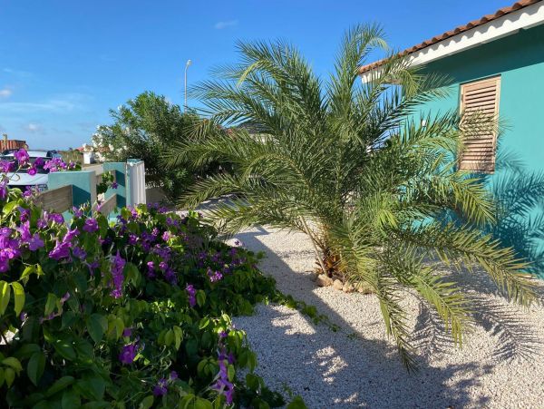 Bonaire Condo 982671