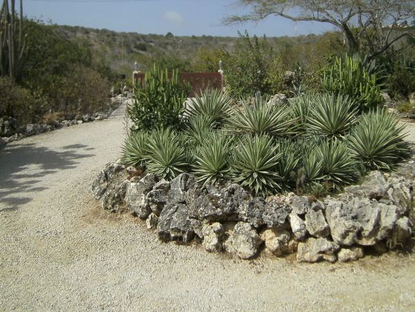 Bonaire Home 982673